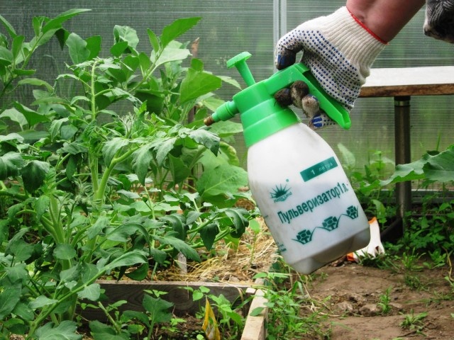 Как борная кислота может повысить урожай овощей