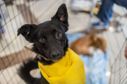 53 �������� . ����� ����� ������� ������