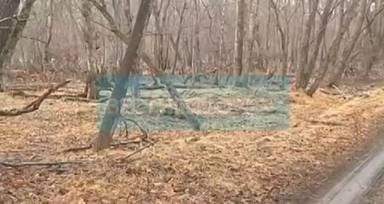 ����� ����� ������� ������ ���� ��������� ���������� ���������� �����������, ����������� �� ������ ����� �������