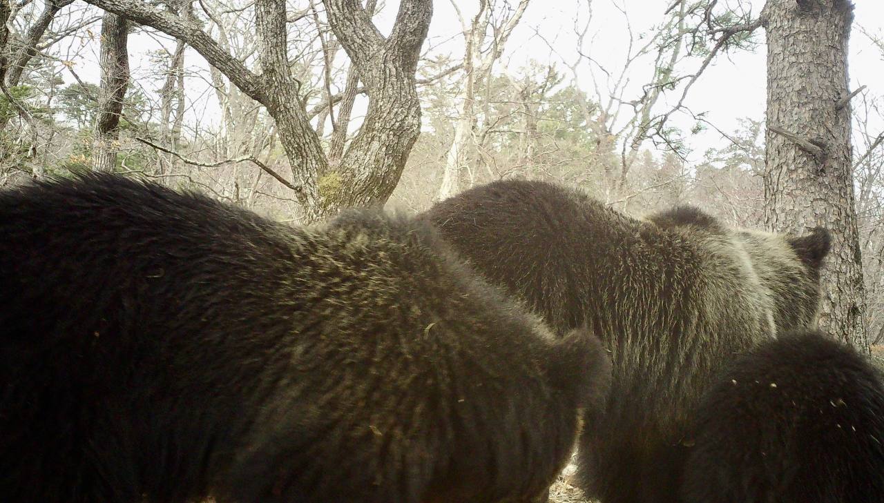 Доброе утро, Приморье!. В последние выходные марта в некоторых районах края температура приблизится к летним значениям Доброе утро, Приморье!. В последние выходные марта в некоторых районах края температура приблизится к летним значениям