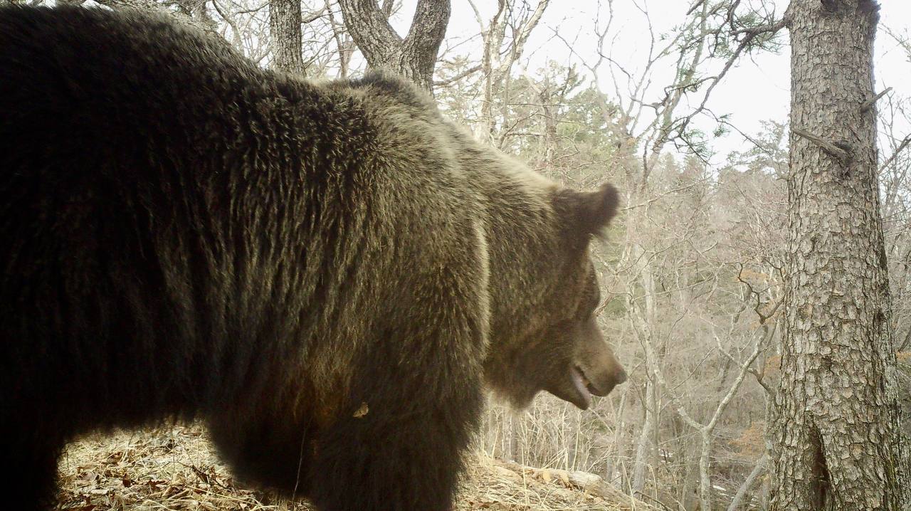 Доброе утро, Приморье!. В последние выходные марта в некоторых районах края температура приблизится к летним значениям Доброе утро, Приморье!. В последние выходные марта в некоторых районах края температура приблизится к летним значениям
