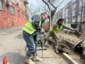 Во Владивостоке восстанавливают благоустройство после аварийных работ на теплосетях