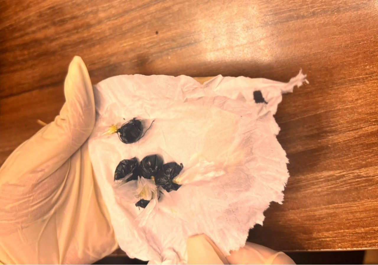 В Уссурийске вынесен приговор местной жительнице за незаконное приобретение и хранение наркотических средств В Уссурийске вынесен приговор местной жительнице за незаконное приобретение и хранение наркотических средств