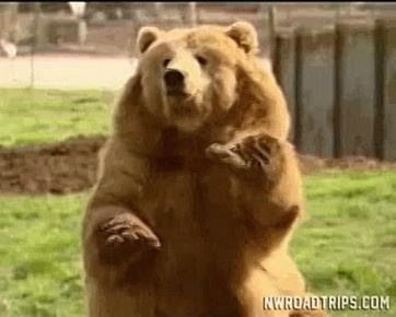 ������� ����� �� ������ � ��������: ��� �� ������� � ��� "� �����"