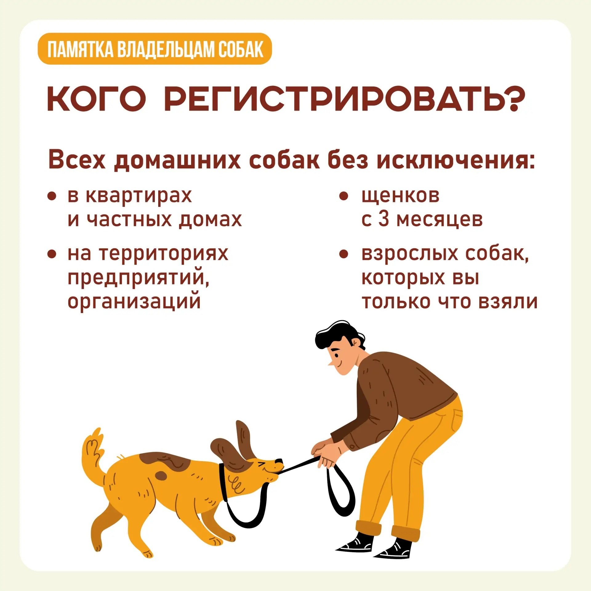 А у вас дома живет собака? Тогда вам нужно ее зарегистрировать! А у вас дома живет собака? Тогда вам нужно ее зарегистрировать!