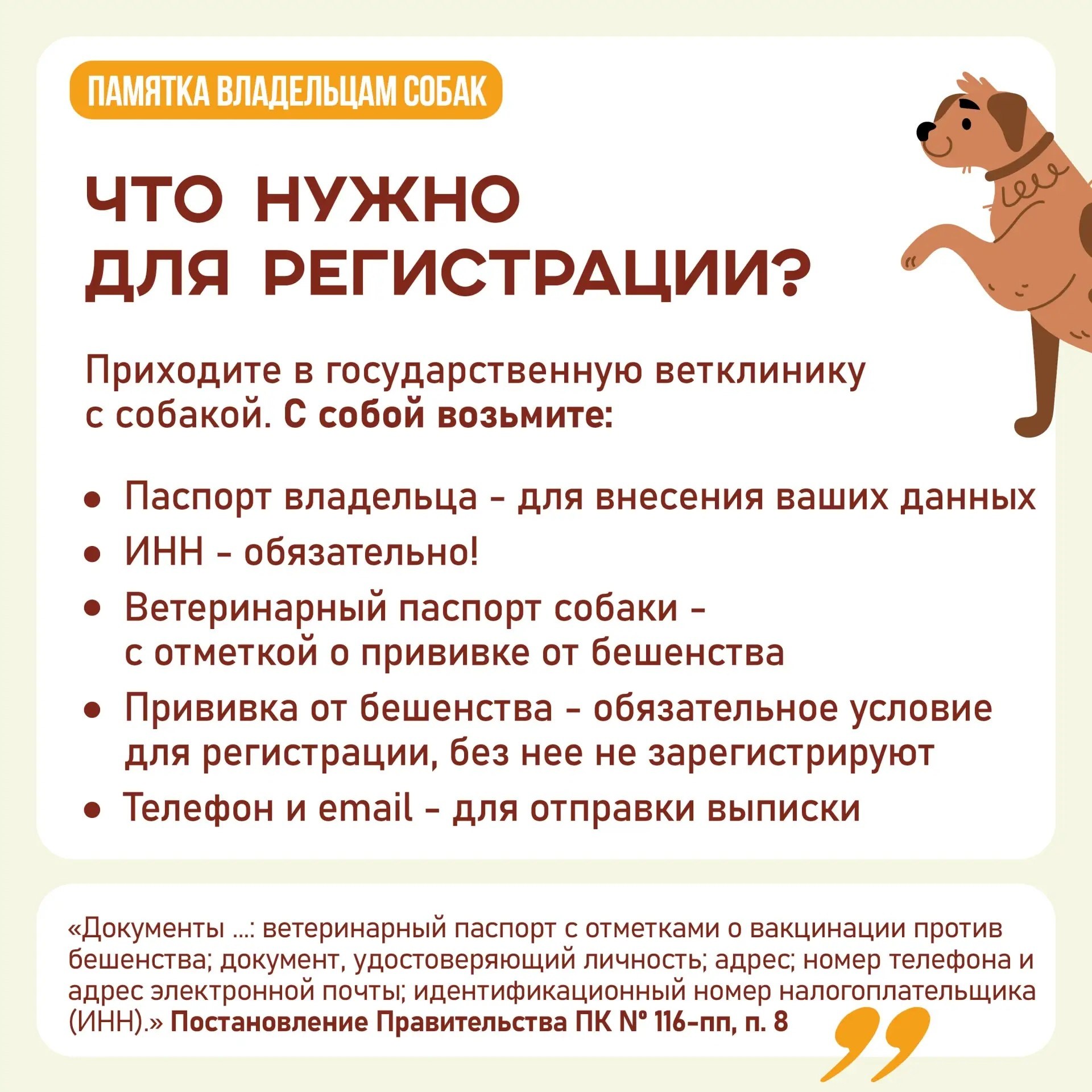 А у вас дома живет собака? Тогда вам нужно ее зарегистрировать! А у вас дома живет собака? Тогда вам нужно ее зарегистрировать!