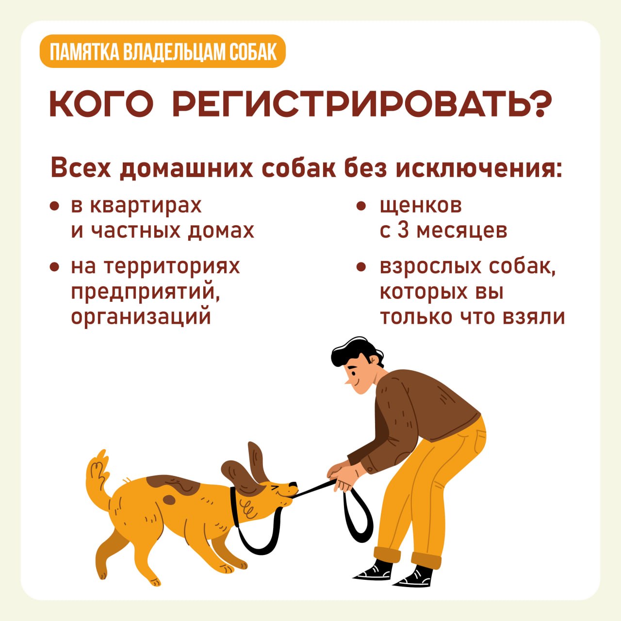 А у вас дома живет собака? Тогда вам нужно ее зарегистрировать! А у вас дома живет собака? Тогда вам нужно ее зарегистрировать!