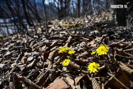Доброе утро, Владивосток. Днём переменная облачность