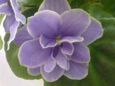 ��������� ��������� � ����� ����: ��� ����� �����