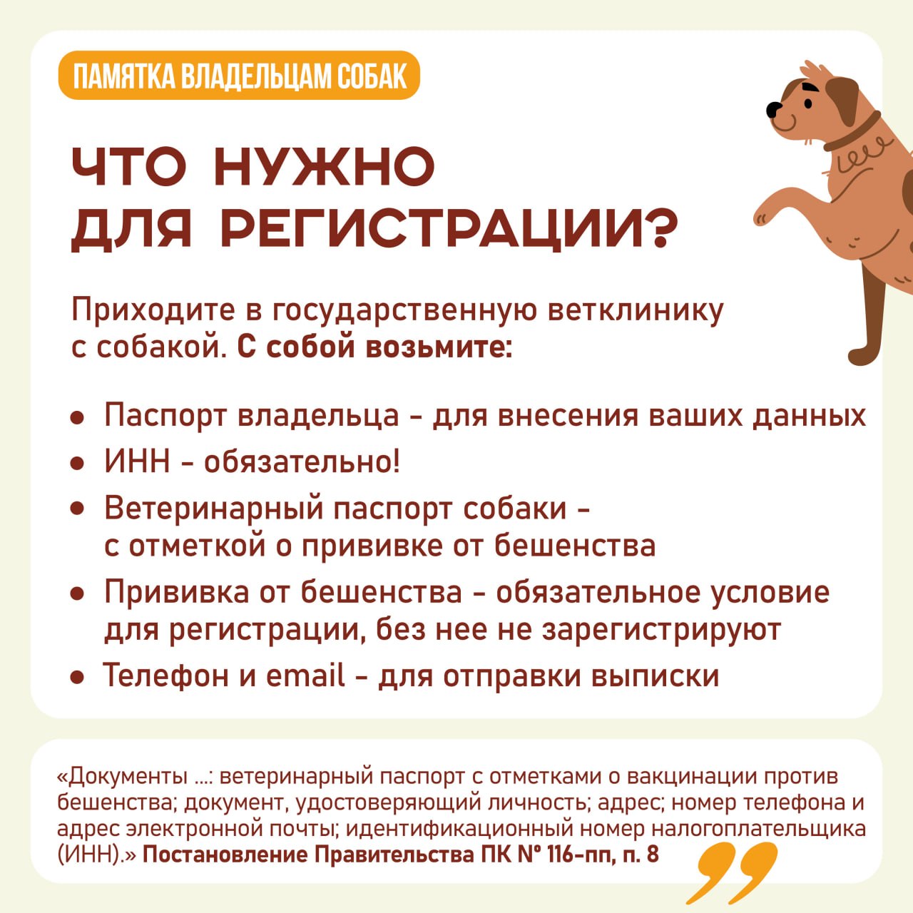 А у вас дома живет собака? Тогда вам нужно ее зарегистрировать! А у вас дома живет собака? Тогда вам нужно ее зарегистрировать!