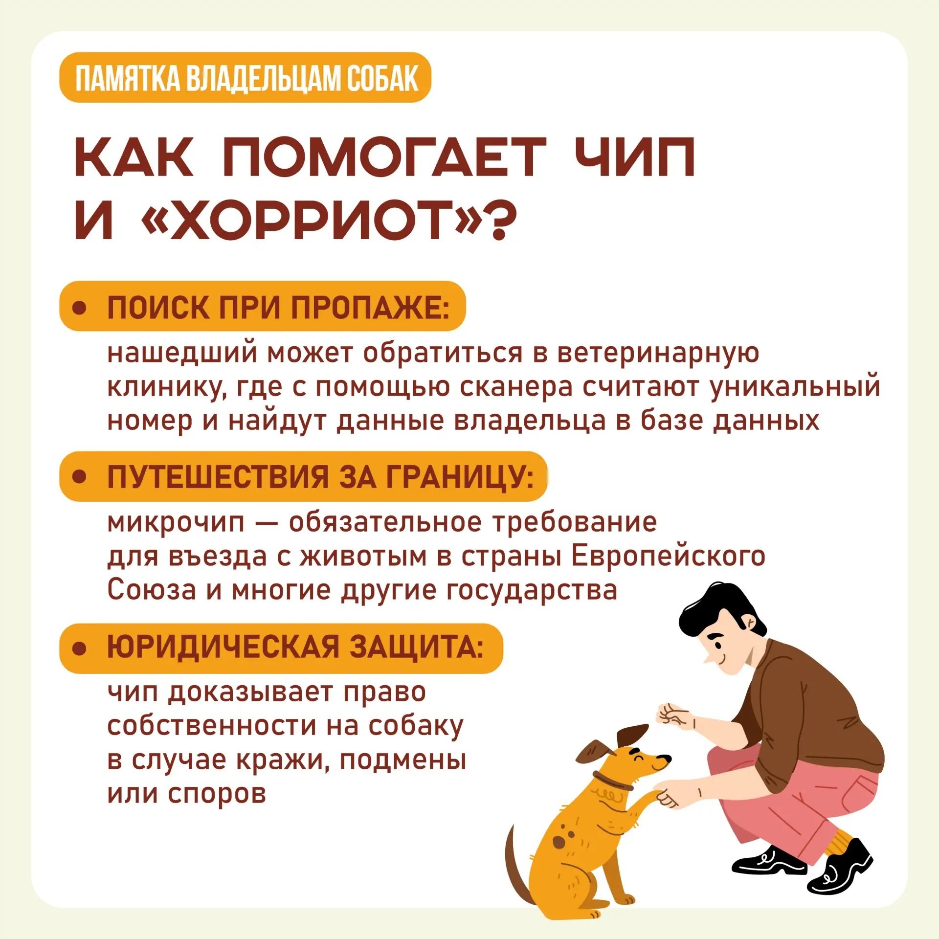 А у вас дома живет собака? Тогда вам нужно ее зарегистрировать! А у вас дома живет собака? Тогда вам нужно ее зарегистрировать!