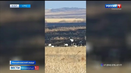 � �������� ������� ���������