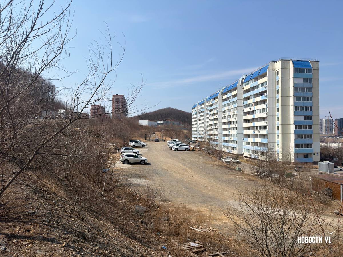 На улице Адмирала Смирнова демонтировали сторожку незаконной парковки, но автовозы не исчезли На улице Адмирала Смирнова демонтировали сторожку незаконной парковки, но автовозы не исчезли