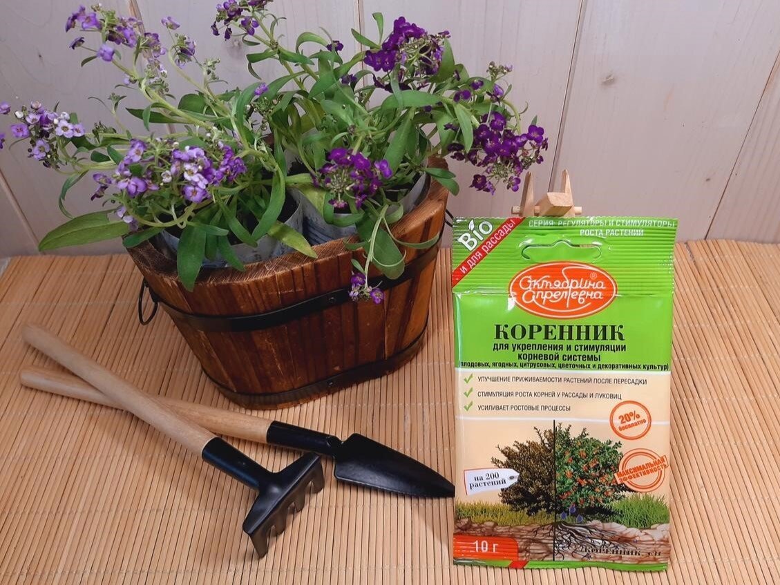 Как «Коренник» помогает укрепить корни растений: полезные советы