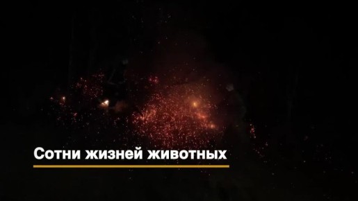 ����� � ����� ������ �� �������