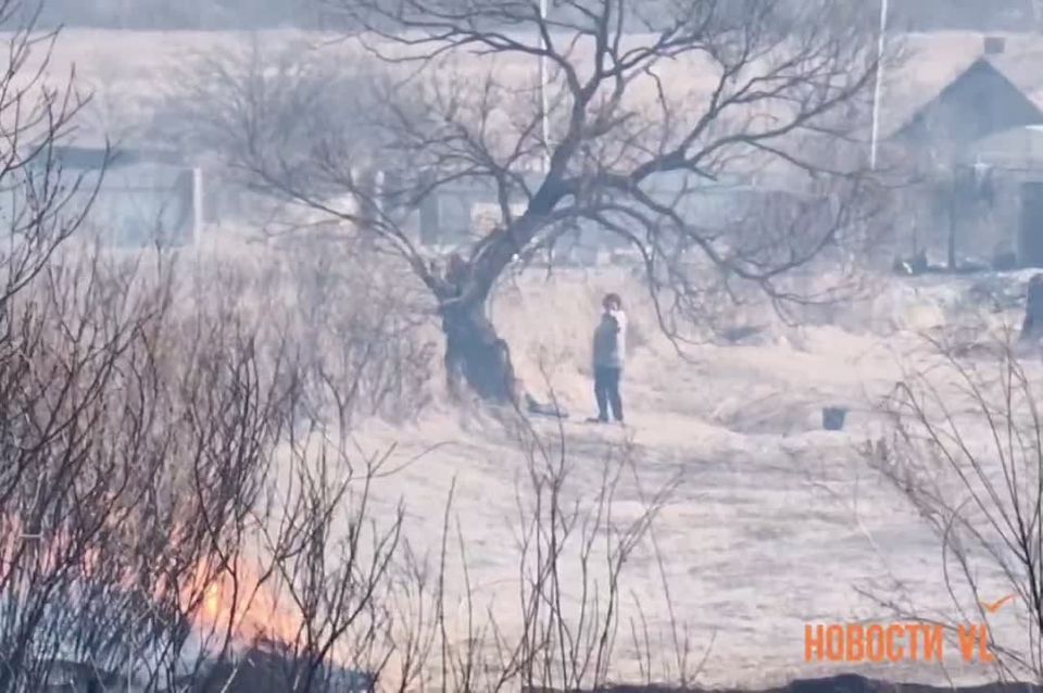 � ����������� ������ �������� ����� ���������� ����� �������������� � ���� ������