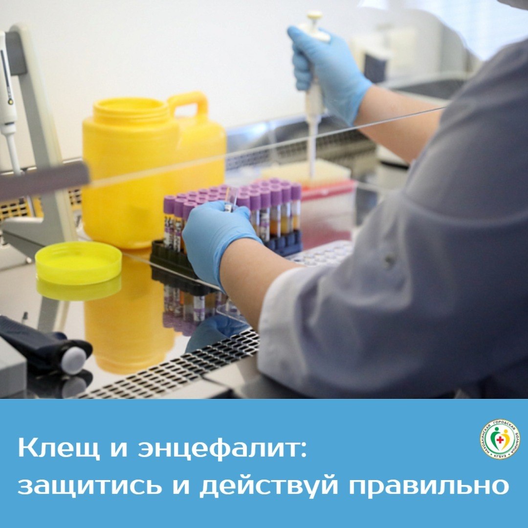 За последнее время в травмпункт Находки обратились 6 человек с присосавшимися клещами, среди них — 2 ребёнка