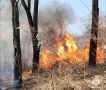 В период с 2 по 4 апреля прогнозируется высокий класс пожарной опасности в Приморье