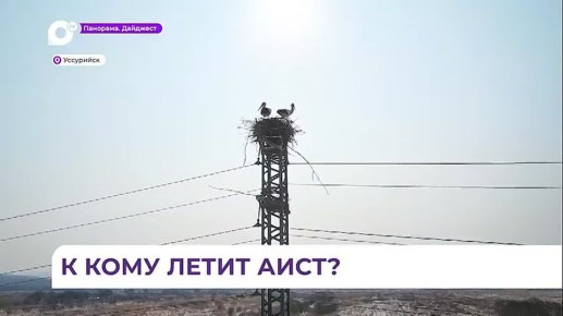 ���� ������������� ������ ���������� � ����� �� ������������ ����������