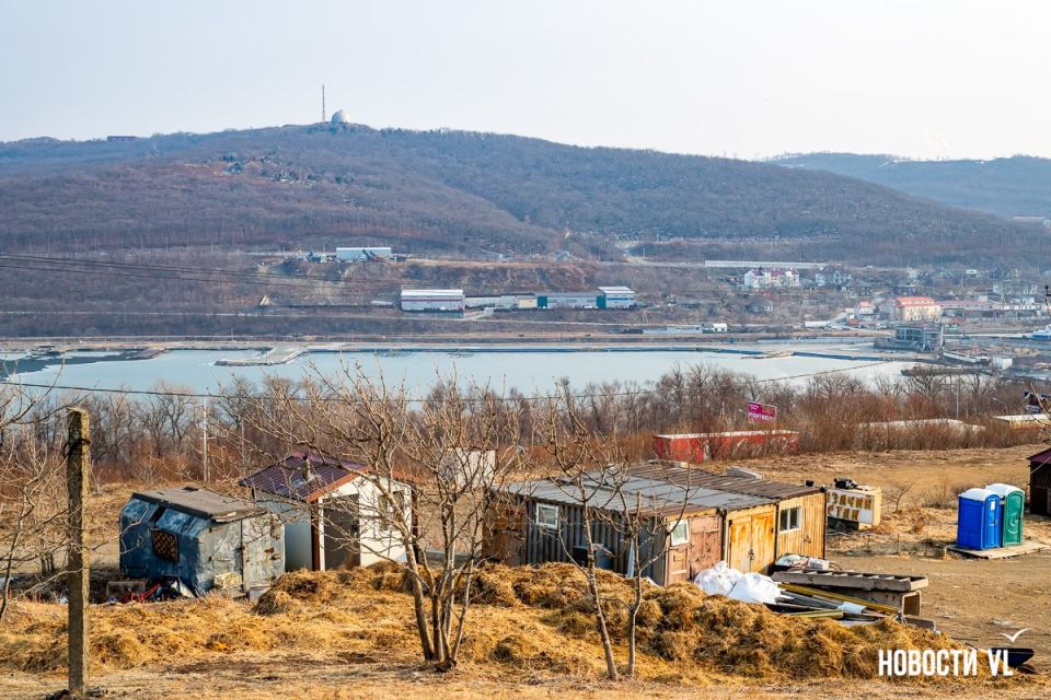 �������� ����� � ����� � ���: ��� � ����� �� ������������ �������� ����������� �� ������� ����� �����