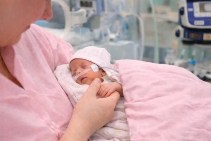 � ������� ������������� ������ �������� ����� �������� ������������ ������� � ������������ ������ ����� � ����� 460 �������