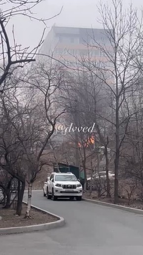 ����� �������� ����� ����� ����� �� ������������