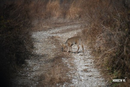 �� ��� �������� � ������ ���� ������� ����������� ������� �������� �����