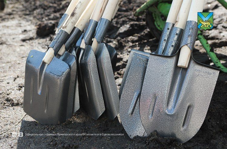 ��������� �������� ������������ ����� ���������� ��������