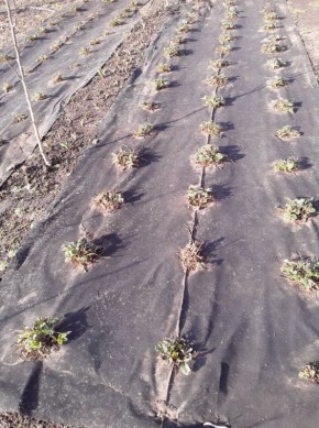 ����� �� ����: ��� ��������� ������ �����