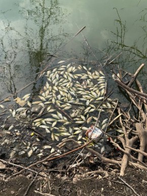 ����������� ��������� ���������� � ������ ���� � ����� �����������