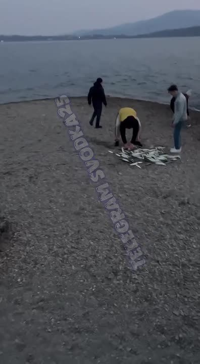 �� ������������ �� ����������� ����� �������� ��������� ������� � � ������ ��������� ������� ���������� ����