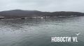 Читатели Новостей VL сегодня заметили нефтепродукты на поверхности воды на Русском острове