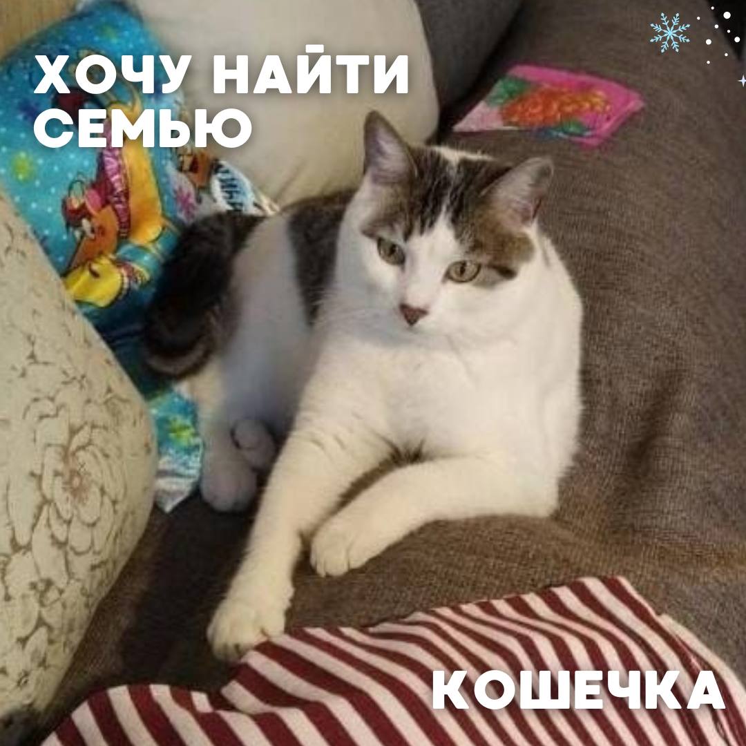 Сегодня в рубрике #Ищу_человека делимся информацией от наших подписчиков, которые взяли себе самых очаровательных питомцев на временную передержку и ищут им теплый дом Сегодня в рубрике #Ищу_человека делимся информацией от наших подписчиков, которые взяли себе самых очаровательных питомцев на временную передержку и ищут им теплый дом