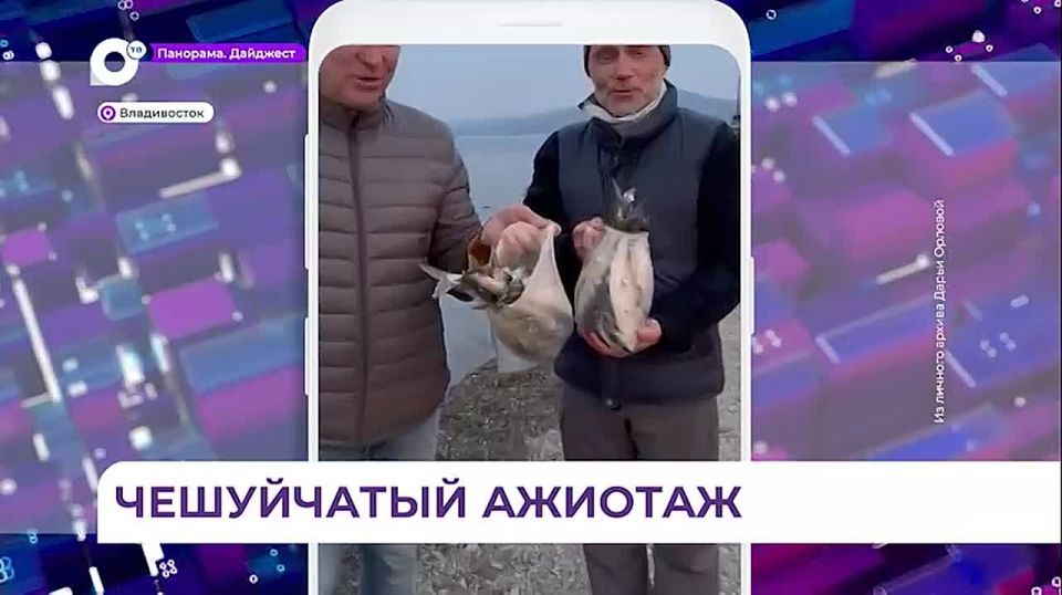 �� ������������ � ������������ ����� ������ ����� � ������