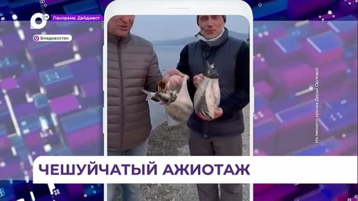 �� ������������ � ������������ ����� ������ ����� � ������