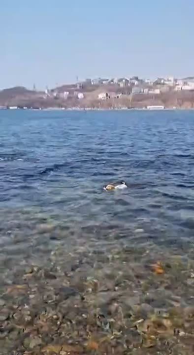 ������������� ��� ������ ���� ���������� ���� ����� ����� � �������, ������� ����� ���� �� �����