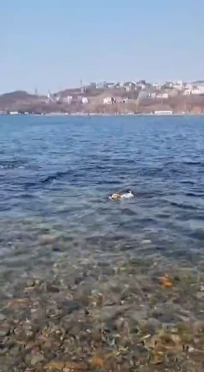 ������������� ��� ������ ���� ���������� ���� ����� ����� � �������, ������� ����� ���� �� �����