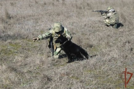 Владимир Рогов: За месяц свыше 2000 взрывоопасных предметов!