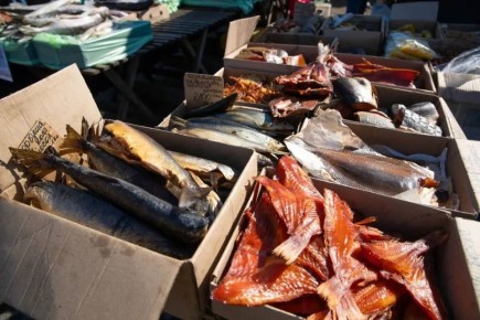 ������� ������������ ���������� �� ����������������� �������