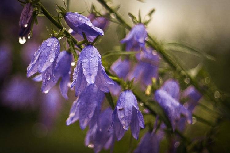 Приморье готовится к капризам погоды: от циклона до весеннего тепла