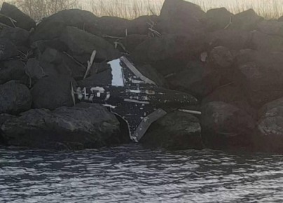 Прибило к берегу. о находке БЛА на побережье Грузии