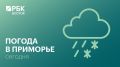 Сегодня в Приморье пройдут небольшие, местами умеренные осадки (снег, мокрый снег), ожидается гололед