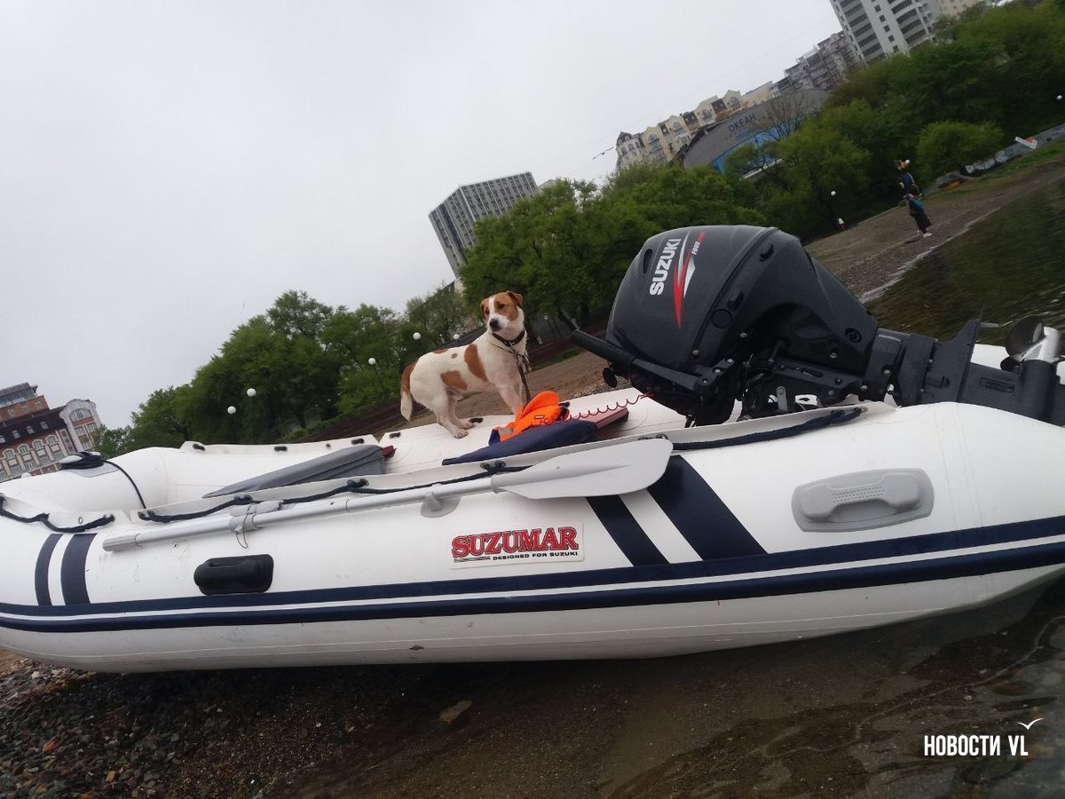 Рыбак по кличке Джек: пёс, ловивший селёдку на Маяке, стал звездой соцсетей Рыбак по кличке Джек: пёс, ловивший селёдку на Маяке, стал звездой соцсетей