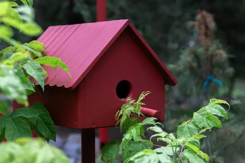 Сквер имени Кутузова в районе Русской, 46 стал комфортнее для жителей и гостей Владивостока Сквер имени Кутузова в районе Русской, 46 стал комфортнее для жителей и гостей Владивостока