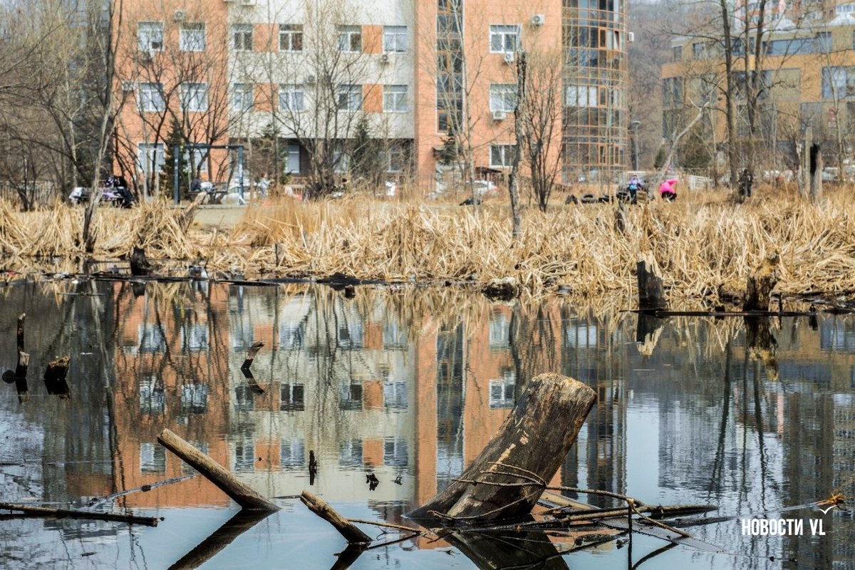 «Общественное место со своей экосистемой»: более 100 жителей Снеговой Пади собрались на субботник на озере с мандаринками «Общественное место со своей экосистемой»: более 100 жителей Снеговой Пади собрались на субботник на озере с мандаринками