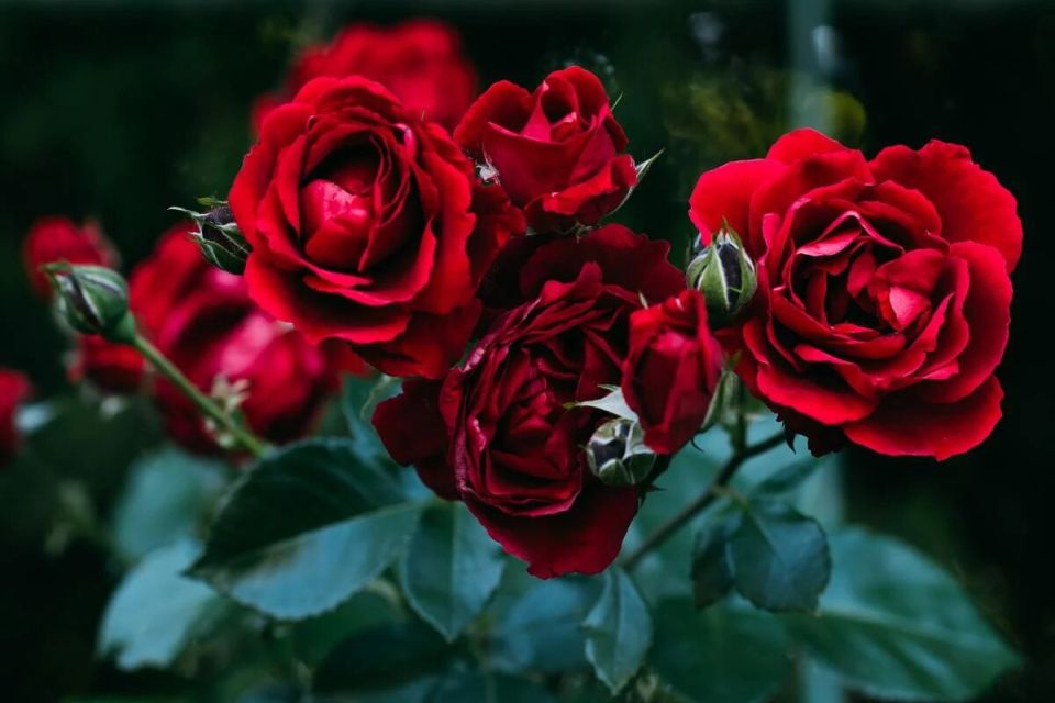 ������� ��������� ��������� ���: ��� �������� ���������� ��������