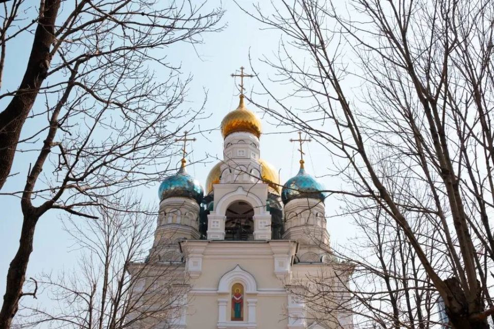 �������� ������� ����� ������� �� ������������ 12 ������