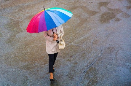 ������ ������ � �������� �����