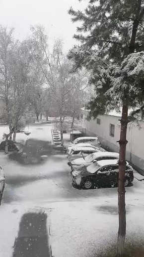 � �������� ���� ����� �� ������ ��������� ������� ����� ����� ������