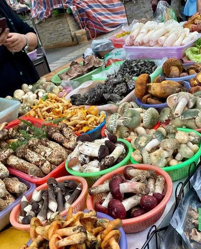 Гриб веселка: чем он пахнет и где его можно найти